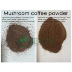 Shiitake Mushroom Extract Supplier - Yhealth Factory 10% Polysaccharide Powder