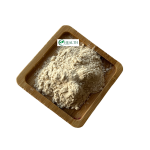 Garcinia Cambogia Extract Manufacturer - Direct Factory Supply Pure Natural