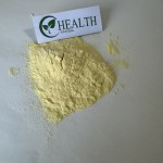 Lactobacillus Bulgaricus Powder Manufacturer - Food Grade Bulk Improve Immunity