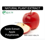 Raspberry Powder Factory - Freeze Dried Pure Beverage Foods Concentrate