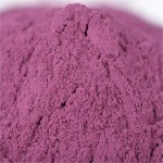 Guava Powder Supplier - High Quality Natural Plant Extract Antioxidant