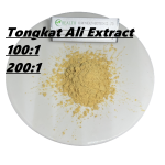 Echinacea Extract Manufacturer - High Purity 10%-40% Echinacoside Powder