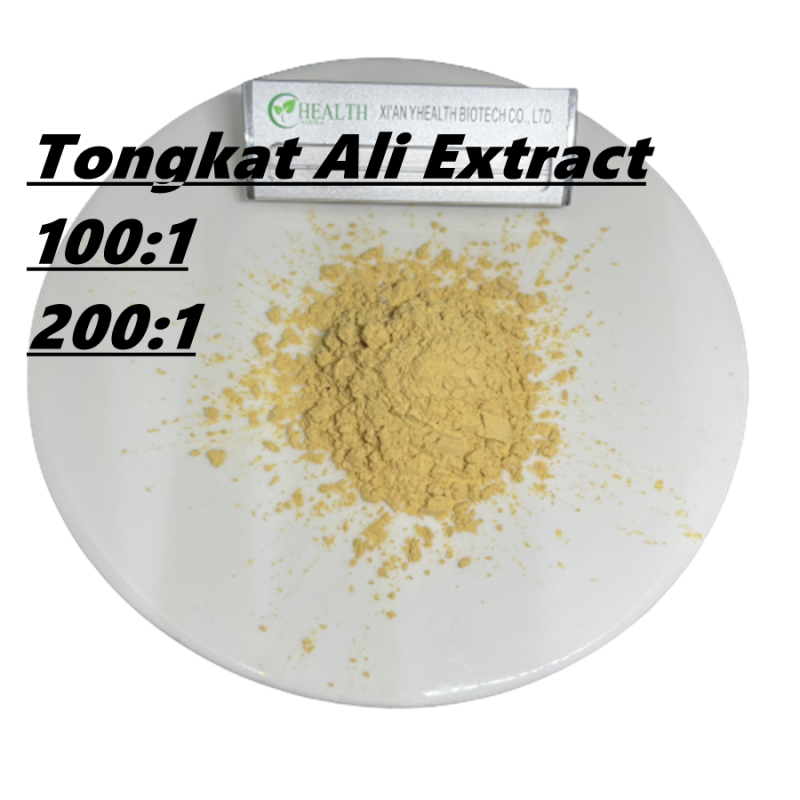 Echinacea Extract Manufacturer - High Purity 10%-40% Echinacoside Powder