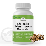 Lion's Mane Powder Factory - Top Quality Hericium Erinaceus Healthcare