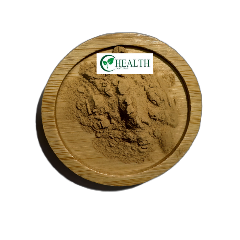 Lion's Mane Powder Factory - Top Quality Hericium Erinaceus Healthcare