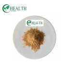 Reishi Mushroom Extract Supplier - Natural High Quality 10% Polysaccharide