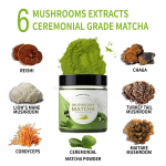 Green Tea Extract Powder Manufacturer - Yhealth OEM USDA Organic Leaf Extract