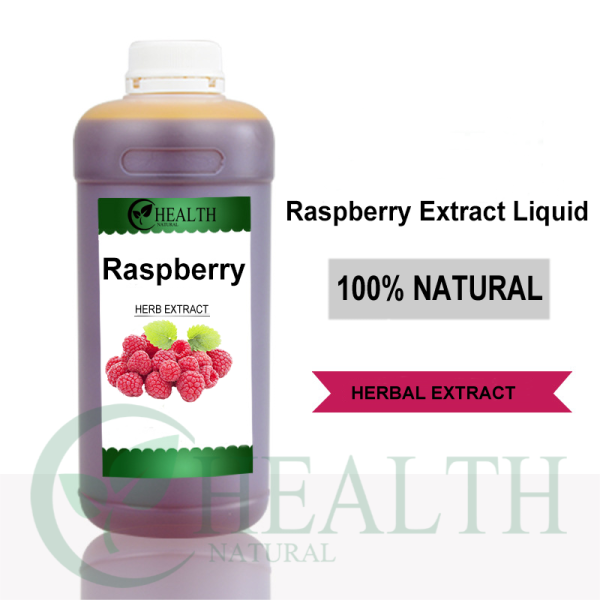 Guava Powder Supplier - High Quality Natural Plant Extract Antioxidant