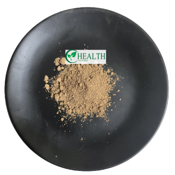 Reishi Mushroom Powder Factory - Powerful 30% Polysaccharide Chinese Herbal