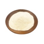 Lactobacillus Bulgaricus Powder Manufacturer - Food Grade Bulk Improve Immunity