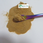 Lion's Mane Mushroom Powder Factory - Food Grade Hericium Erinaceus Health Care