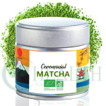 Matcha Powder Supplier - OEM Private Label Food Grade Fruit Flavored
