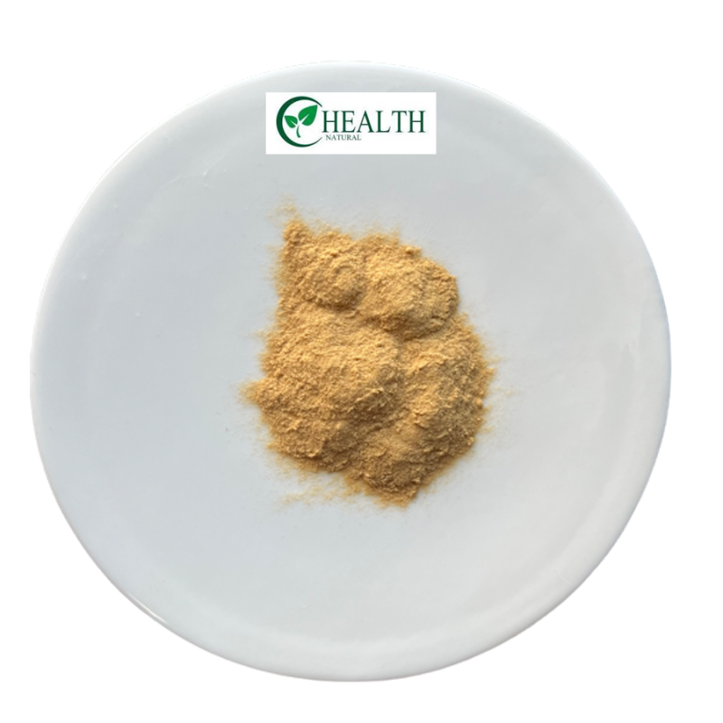 Sparassis Crispa Powder Supplier - Natural High Quality Supplement Best Price