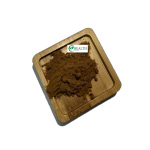 Horny Goat Weed Extract Supplier - High Quality Bulk Men Health Supplement