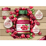 Matcha Powder Manufacturer - Organic Natural Ceremonial Grade Green Tea