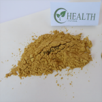 Sparassis Crispa Powder Supplier - Natural High Quality Supplement Best Price