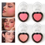 Blush Powder Factory - Hot Sale 4 Custom Blush Matte Long-Lasting Pressed Powder