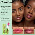 Liquid Lipstick Factory - Private Label Vendor Cheap Long Wear Purple Black Gold