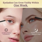 Eyelash Growth Serum Manufacturer - Wholesale 2-Color Oil-Free Moisturizing Liquid