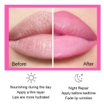 Lipgloss Manufacturer - Vendor Wholesale Private Label Handaiyan Cruelty-Free Customized