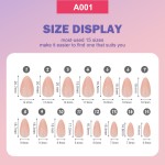 Nail Strips Supplier - Wholesale 288-Piece ABS Solid Color 12 Glossy Colors