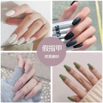Artificial Fingernails Factory - 24 Pieces Boxed Wearable Detachable Autumn Winter Frosted