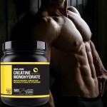 Creatine Monohydrate Manufacturer - Factory Custom Wholesale Pure Micronized Powder 500 Grams