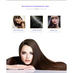 Hair Care Set Manufacturer - Private Label Herbal Nourishing Anti-Loss Ginger Shampoo Conditioner