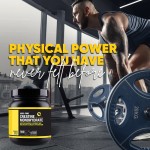 Creatine Powder Factory - Factory Wholesale Bulk Optimum Nutrition Monohydrate Pure Creatine