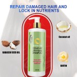 Shampoo Supplier - High Quality Rosemary Mint Strengthening Hair Loss Preventing Ginger