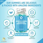 Ashwagandha Gummies Supplier - OEM Private Label Vegan Pectin Candy Stress Relief