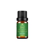 Oregano Oil Supplier - 100% Pure and Natural Bulk Wild Oregano Essential Oil