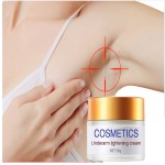 Skin Lightening Cream Factory - OEM/ODM Popular Natural Brightening Face Cream 30g