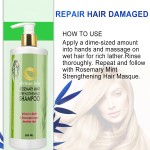 Shampoo Supplier - High Quality Rosemary Mint Strengthening Hair Loss Preventing Ginger