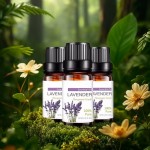 Lavender Oil Factory - Beauty Skin Acne Remove Organic Lavender Essential Oil Private Label
