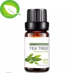 Tea Tree Oil Factory - Best Price Anti Acne 100% Natural Pure Tea Tree Essential Oil