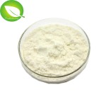 Whey Protein Powder Factory - Gold Standard Low Price Whey Protein Isolate Body Building Powder