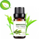 Tea Tree Oil Factory - Best Price Anti Acne 100% Natural Pure Tea Tree Essential Oil