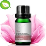 Rose Oil Manufacturer - Beauty Products 100% Natural Pure High Quality Low Price Skin Whitening