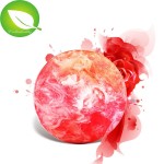 Herbal Soap Factory - Best Private Label Hot Selling Rose Essential Oil Beauty Flower Soap