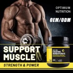 Creatine Powder Manufacturer - OEM ODM Wholesale High Purity Sports Optimum Nutrition Pure
