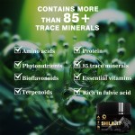 Shilajit Resin Manufacturer - Himalayan 50g Private Label OEM/ODM Natural Organic Pure Fulvic Acid