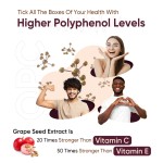 OPC Capsules Manufacturer - OEM 100% Natural 60 Capsules French Grape Seed Complex Non-GMO