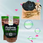 Reishi Mushroom Extract Manufacturer - Anti Aging 100% Natural Linggzhi Ganoderma Lucidum Organic