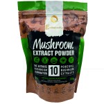 Reishi Mushroom Extract Manufacturer - Anti Aging 100% Natural Linggzhi Ganoderma Lucidum Organic