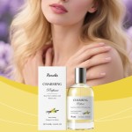 Women's Perfume Factory - High Quality 50ml Fresh Light Fragrance Vanilla Amber Spray