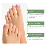 Cuticle Oil Manufacturer - Nail Daily Nourishment Smooth Moisturizing Cuticle Soften Strengthen Oil