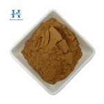 Dandelion Extract Manufacturer - Taraxacum Officinale Extract Powder