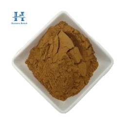 Dandelion Extract Manufacturer - Taraxacum Officinale Extract Powder