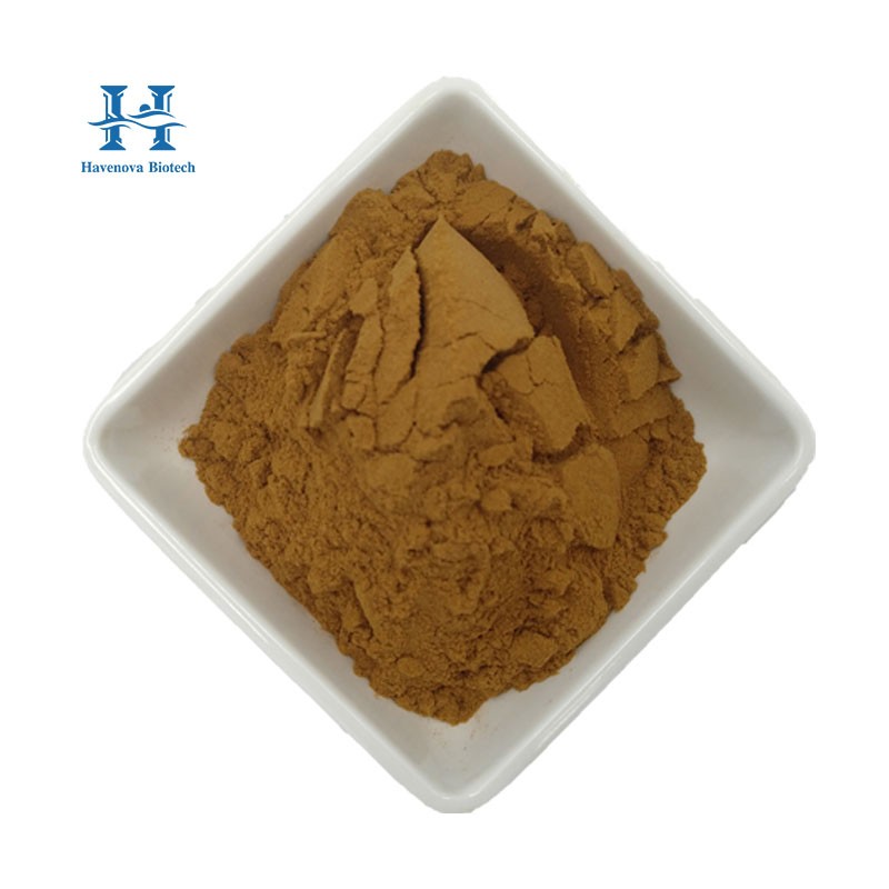 Dandelion Extract Manufacturer - Taraxacum Officinale Extract Powder